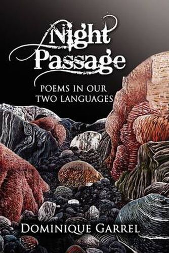 Cover image for Night Passage