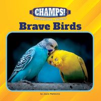 Cover image for Brave Birds