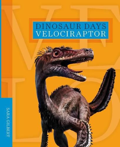 Cover image for Velociraptor