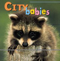 Cover image for City Babies