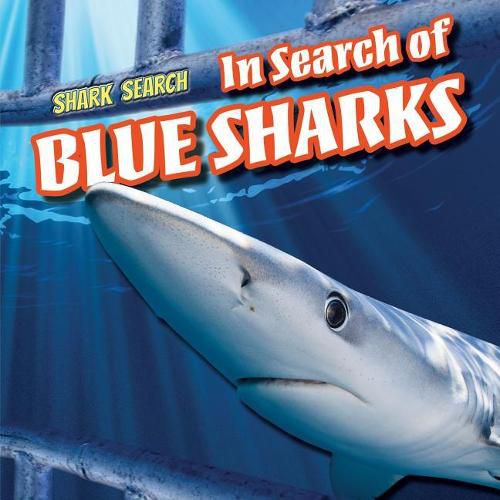 Cover image for In Search of Blue Sharks