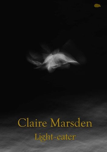 Cover image for Light-eater