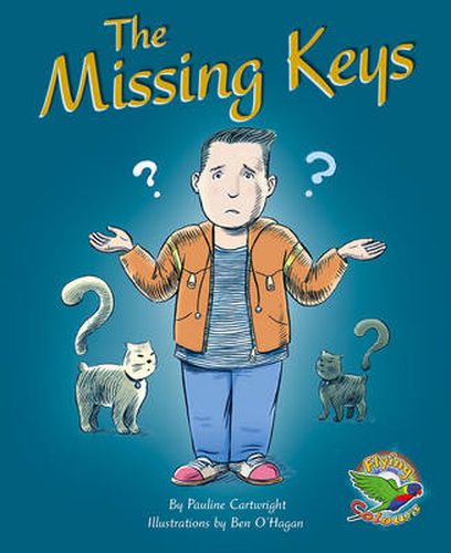 Cover image for The Missing Keys