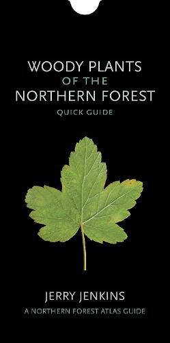 Cover image for Woody Plants of the Northern Forest: Quick Guide