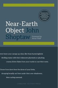 Cover image for Near-Earth Object