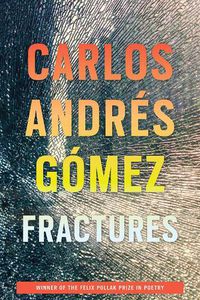 Cover image for Fractures