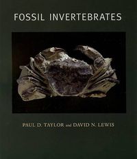 Cover image for Fossil Invertebrates