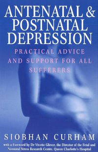Cover image for Antenatal And Postnatal Depression