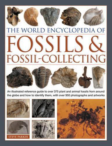 Cover image for World Encyclopedia of Fossils & Fossil-collecting