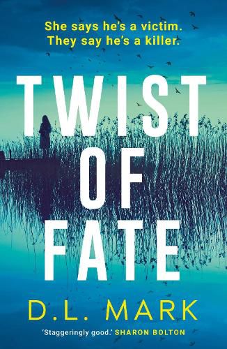 Cover image for Twist of Fate