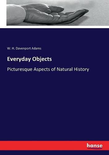 Cover image for Everyday Objects: Picturesque Aspects of Natural History