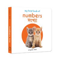 Cover image for My First Book of Numbers