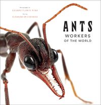 Cover image for Ants: Workers of the World