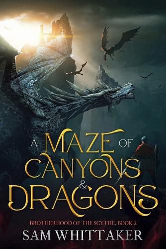 Cover image for A Maze of Canyons & Dragons