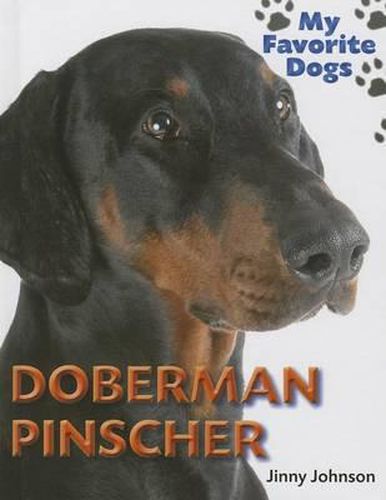 Doberman Pinscher