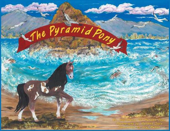 Cover image for The Pyramid Pony