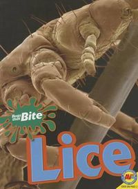 Cover image for Lice