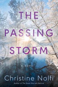 Cover image for The Passing Storm: A Novel