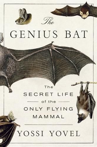 Cover image for The Genius Bat