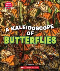 Cover image for A Kaleidoscope of Butterflies (Learn About: Animals)