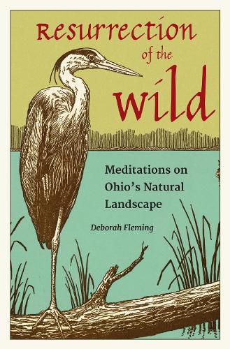 Cover image for Resurrection of the Wild: Meditations on Ohio's Natural Landscape