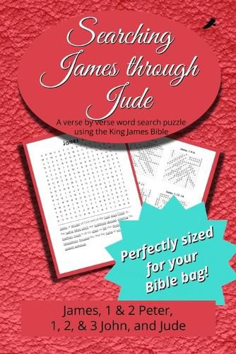 Cover image for Searching James through Jude