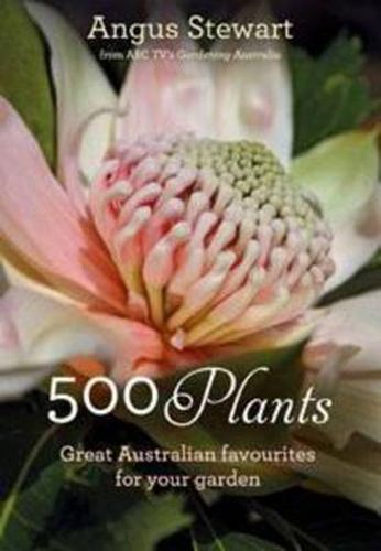 Cover image for 500 Plants: Great Australian favourites for your garden