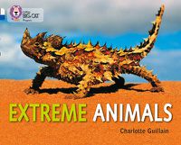 Cover image for Extreme Animals: Band 10 White/Band 16 Sapphire