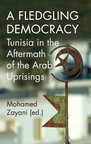 Cover image for A Fledgling Democracy: Tunisia in the Aftermath of the Arab Uprisings