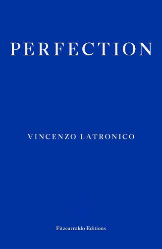 Cover image for Perfection