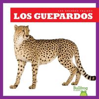 Cover image for Los Guepardos (Cheetahs)