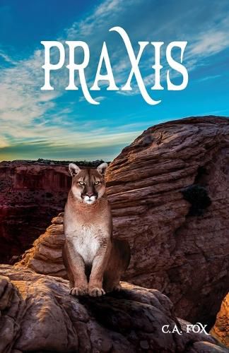 Cover image for PRAXIS