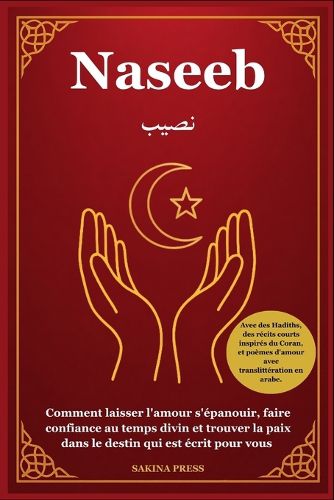 Cover image for Naseeb