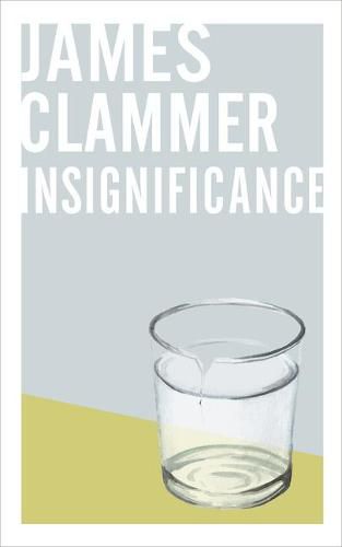 Cover image for Insignificance