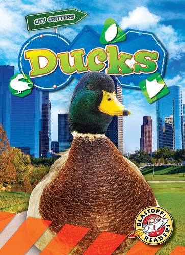 Cover image for Ducks