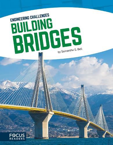 Cover image for Engineering Challenges: Building Bridges