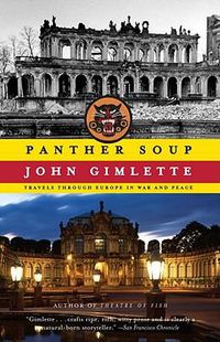Cover image for Panther Soup: Travels Through Europe in War and Peace