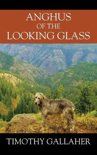 Cover image for Anghus of the Looking Glass