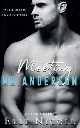 Cover image for Meeting Mr. Anderson