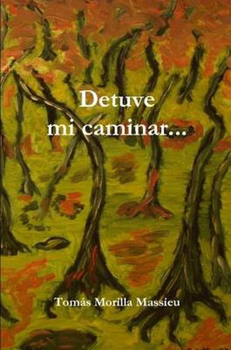 Cover image for Detuve Mi Caminar...