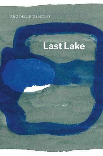 Cover image for Last Lake