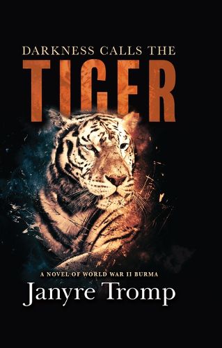 Cover image for Darkness Calls the Tiger