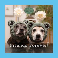 Cover image for Sookie and Ivy Friends Forever!