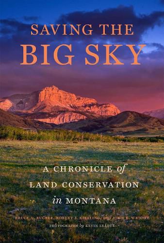 Saving the Big Sky