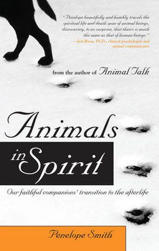 Animals in Spirit: Our Faithful Companions Transition to the Afterlife
