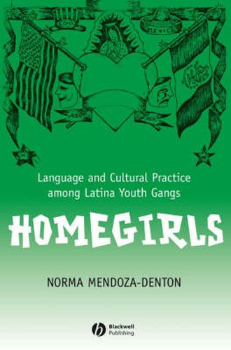 Cover image for Homegirls: Language and Cultural Practice Among Latina Youth Gangs