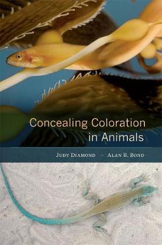 Cover image for Concealing Coloration in Animals