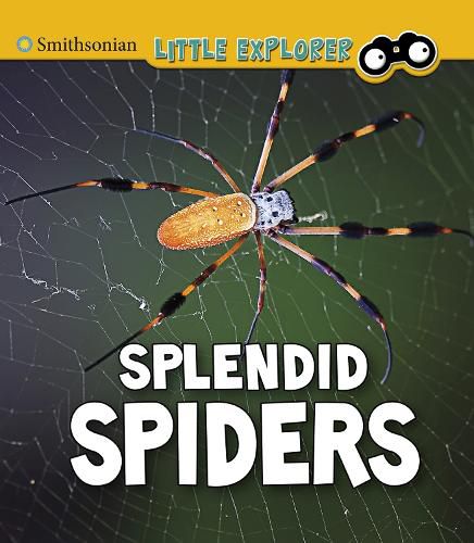 Splendid Spiders