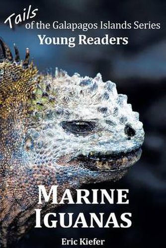 Cover image for Marine Iguanas - Tails of the Galapagos Islands Series