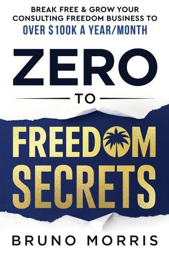 Cover image for Zero to Freedom Secrets